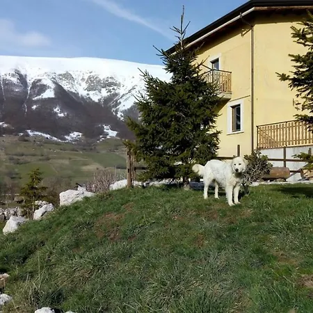 ファームステイ Primo Campo