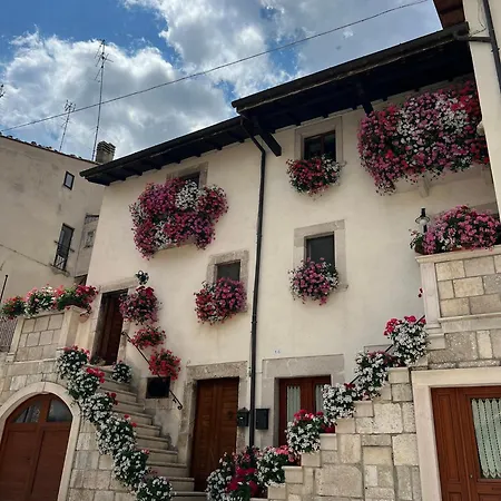 Primo Campo