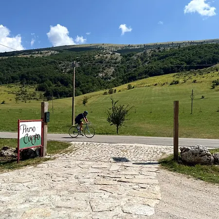 Primo Campo